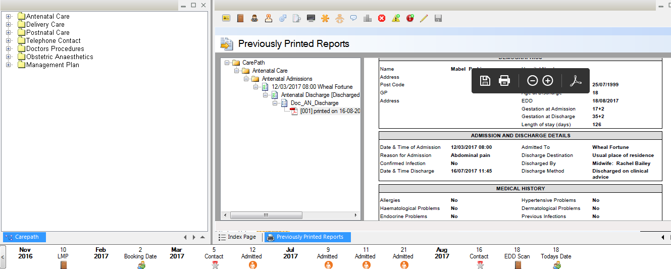 The Previously Printed Reports panel.