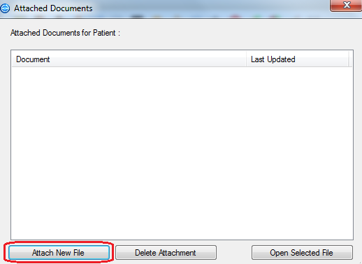 The Attach New File button.