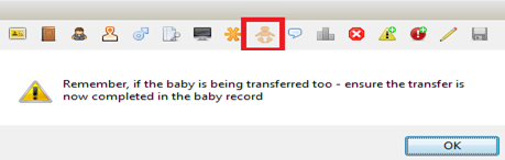 The baby icon in the icons within the mother’s record.